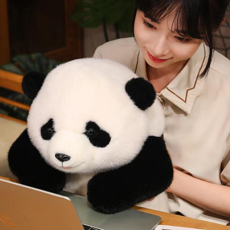 Panda Maci Plüss PlüssKuckó