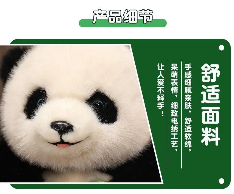 Panda Maci Plüss PlüssKuckó