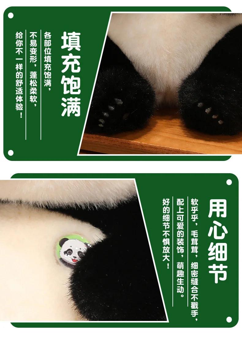 Panda Maci Plüss PlüssKuckó