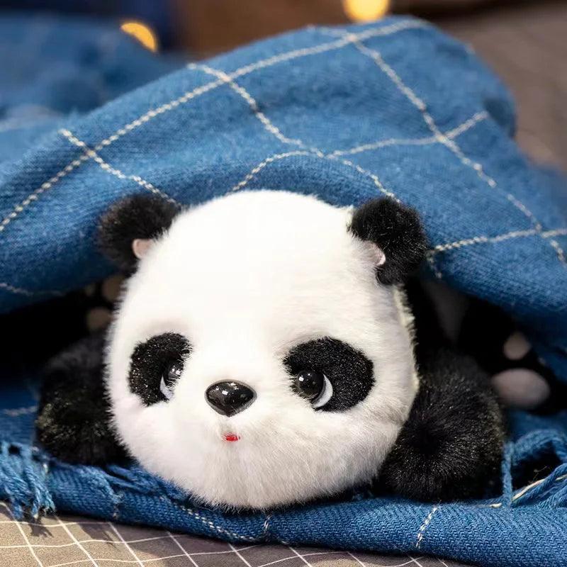 Plüss Panda Maci PlüssKuckó